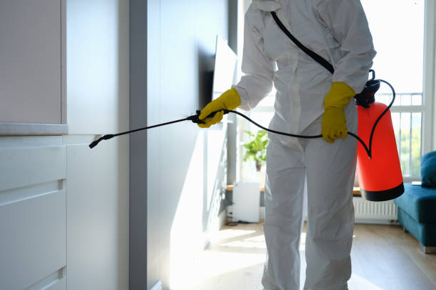 Best Crawl Space Mold Removal  in Summit, NJ